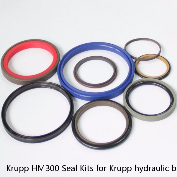 Krupp HM300 Seal Kits for Krupp hydraulic breaker