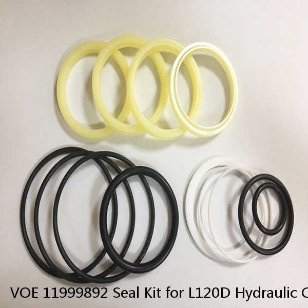 VOE 11999892 Seal Kit for L120D Hydraulic Cylindert