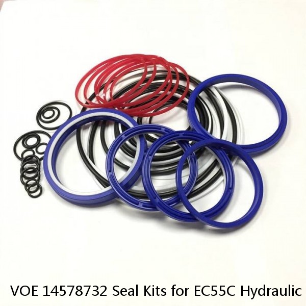 VOE 14578732 Seal Kits for EC55C Hydraulic Cylindert