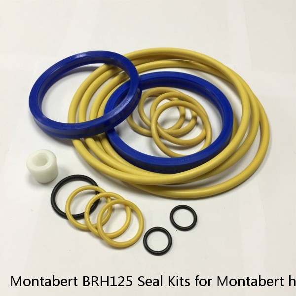 Montabert BRH125 Seal Kits for Montabert hydraulic breaker #1 small image