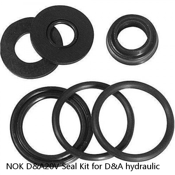 NOK D&A20V Seal Kit for D&A hydraulic #1 small image