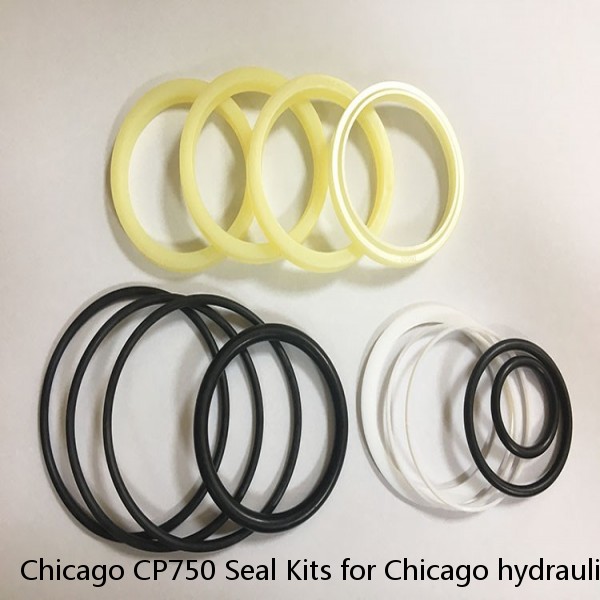 Chicago CP750 Seal Kits for Chicago hydraulic breaker