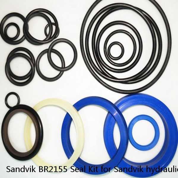 Sandvik BR2155 Seal Kit for Sandvik hydraulic breaker #1 small image