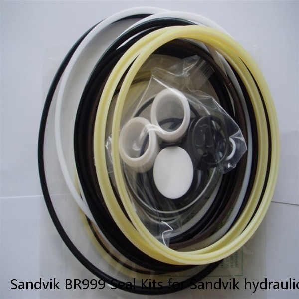 Sandvik BR999 Seal Kits for Sandvik hydraulic breaker #1 small image