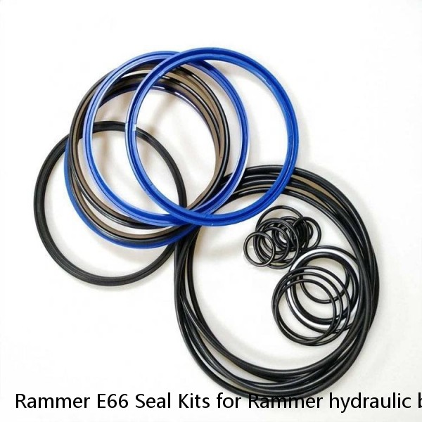 Rammer E66 Seal Kits for Rammer hydraulic breaker