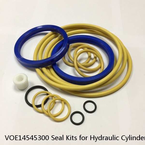 VOE14545300 Seal Kits for Hydraulic Cylindert #1 image