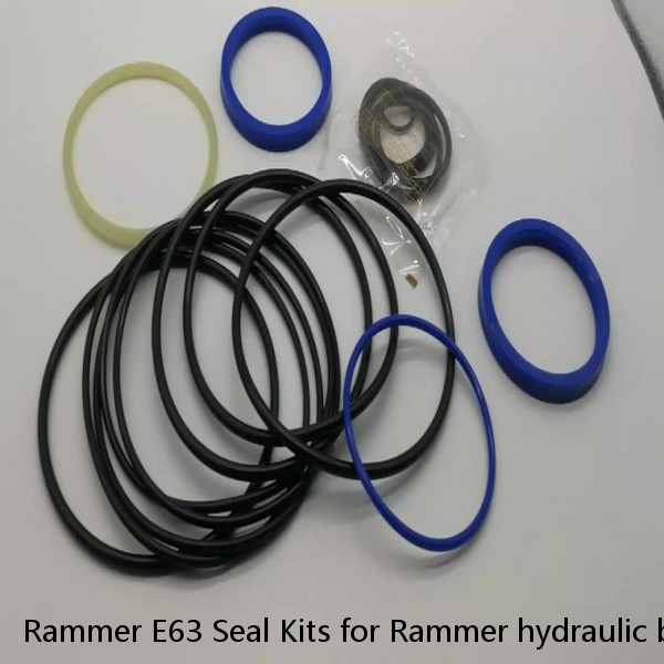 Rammer E63 Seal Kits for Rammer hydraulic breaker #1 image