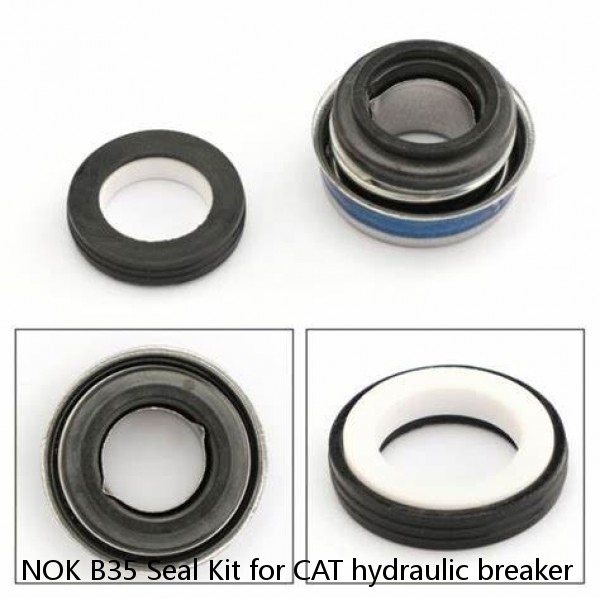 NOK B35 Seal Kit for CAT hydraulic breaker #1 image