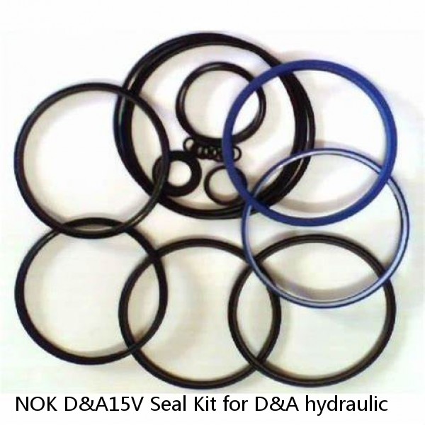 NOK D&A15V Seal Kit for D&A hydraulic #1 image