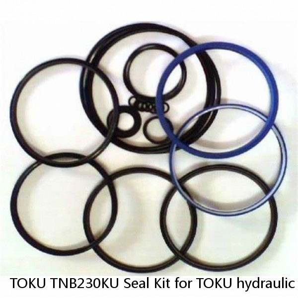 TOKU TNB230KU Seal Kit for TOKU hydraulic breaker #1 image