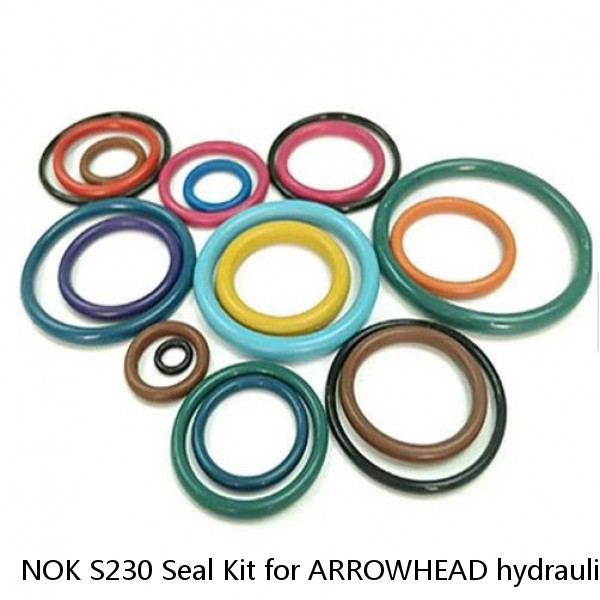 NOK S230 Seal Kit for ARROWHEAD hydraulic breaker #1 image