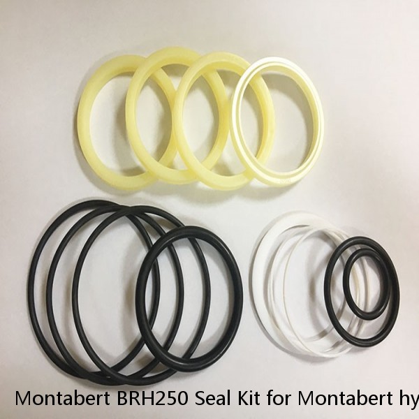 Montabert BRH250 Seal Kit for Montabert hydraulic breaker #1 image