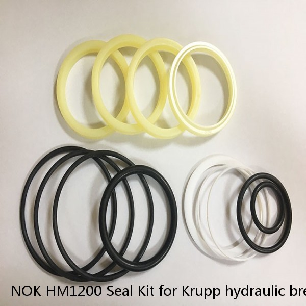 NOK HM1200 Seal Kit for Krupp hydraulic breaker #1 image