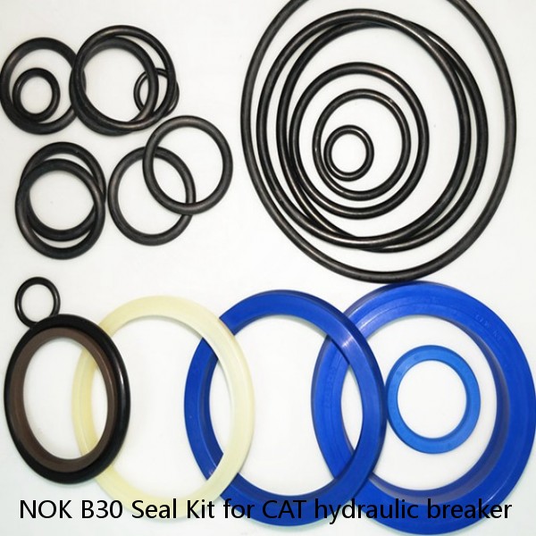 NOK B30 Seal Kit for CAT hydraulic breaker #1 image