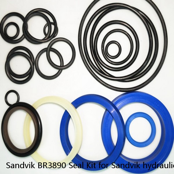 Sandvik BR3890 Seal Kit for Sandvik hydraulic breaker #1 image