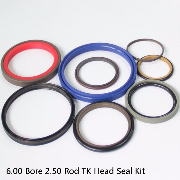 6.00 Bore 2.50 Rod TK Head Seal Kit #1 image