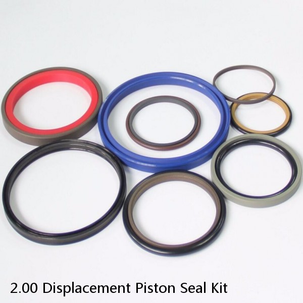 2.00 Displacement Piston Seal Kit #1 image