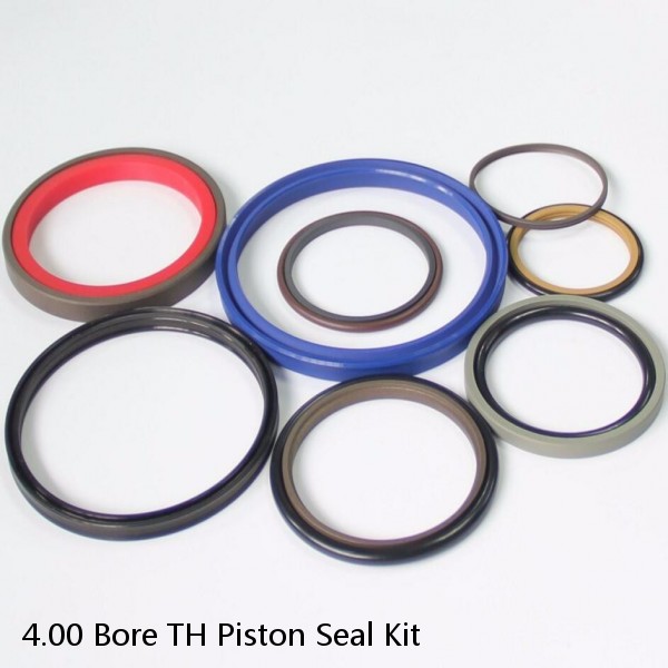 4.00 Bore TH Piston Seal Kit #1 image