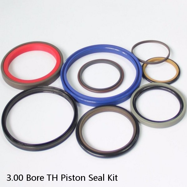 3.00 Bore TH Piston Seal Kit #1 image